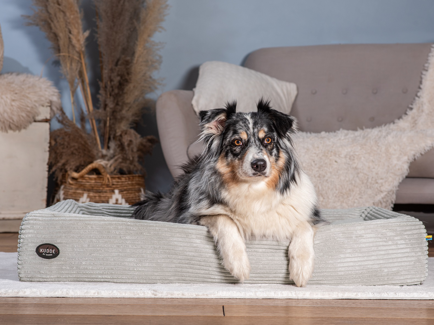 Koiranpeti KUDDE Cord 