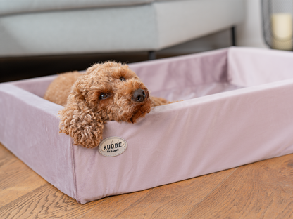 Koiransänky KUDDE Sametti 