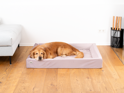 Koiransänky KUDDE Sametti 