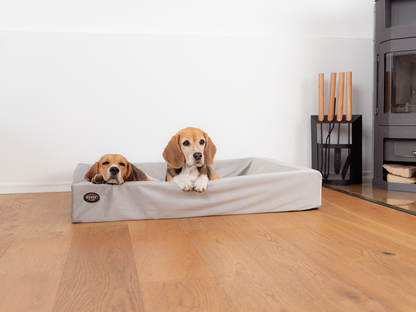 Koiransänky KUDDE Sametti 