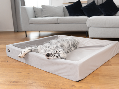 Koiransänky KUDDE Sametti 