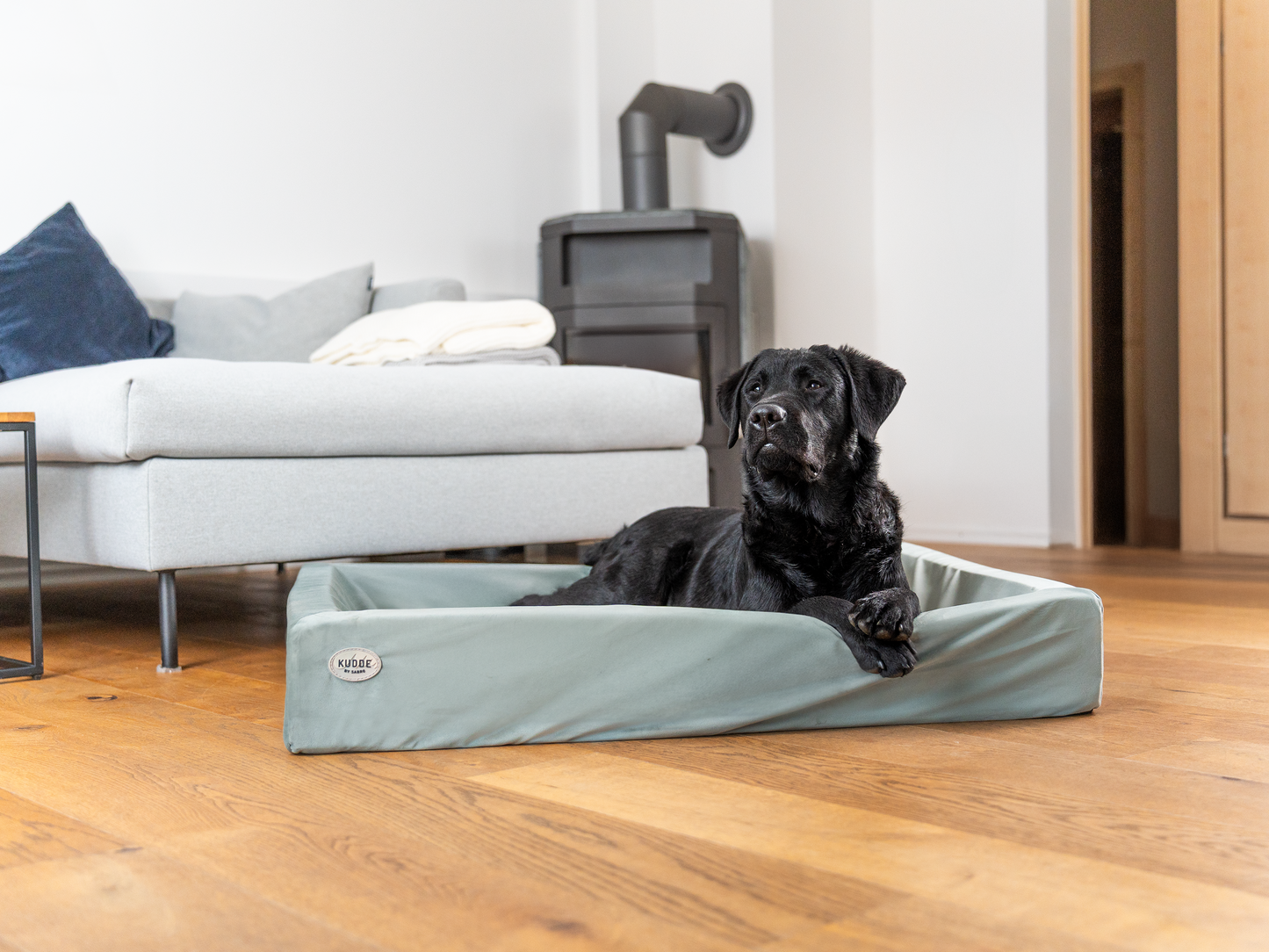 Koiransänky KUDDE Sametti 