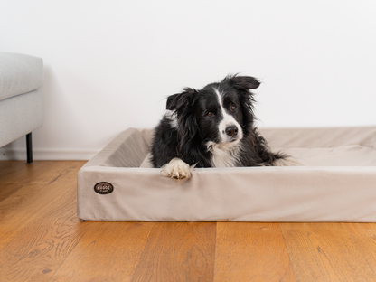 Koiransänky KUDDE Sametti 