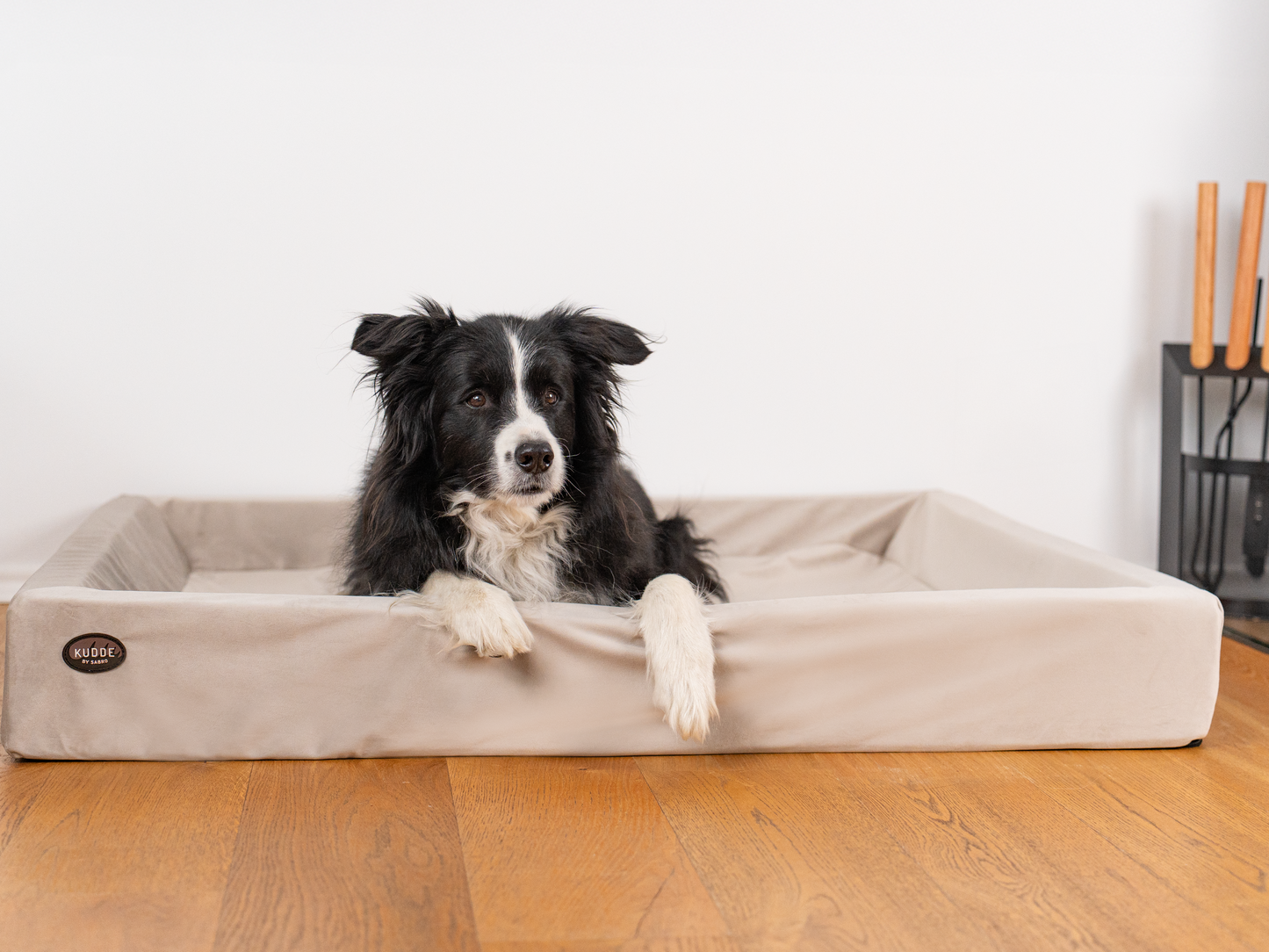 Koiransänky KUDDE Sametti 