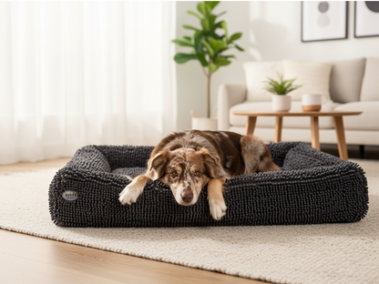 Koiranpeti KUDDE Torka 