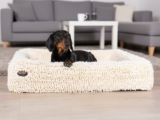 Koiranpeti KUDDE Torka 