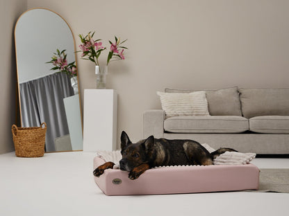 Koiranpeti KUDDE Pastelli Keinonahka 