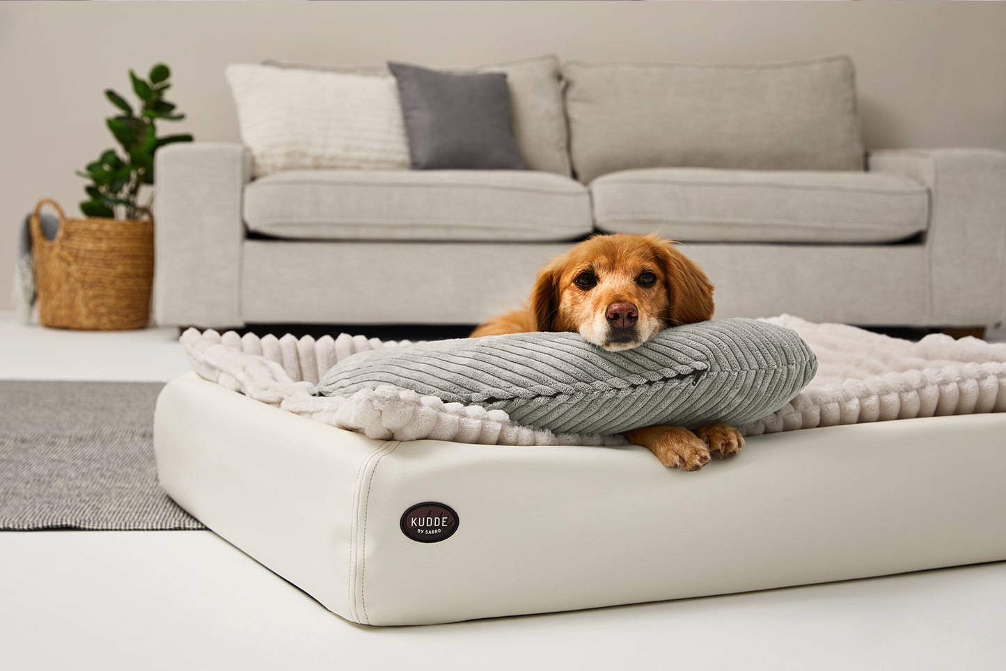 SCHMUSEHÖRNCHEN Cord 