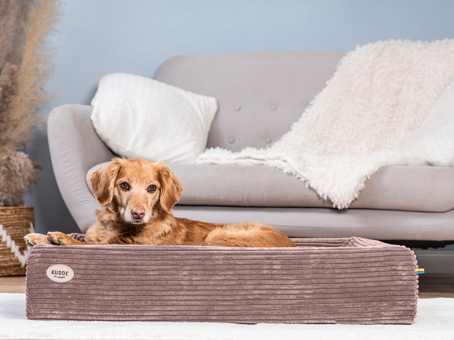 Koiranpeti KUDDE Cord 