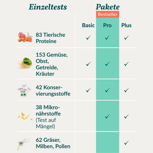 Allergiatesti koiralle 