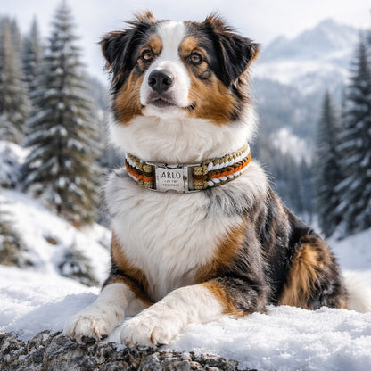 Arlo - Käsintehty paracord-kaiverruksella varustettu koiran kaulapanta | Oranssi-ruskea-valko-beige