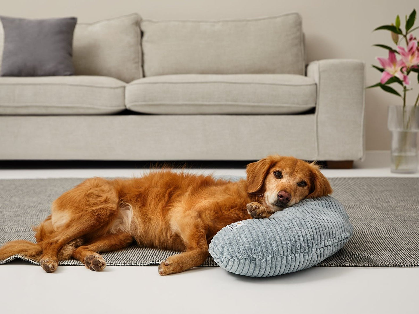 SCHMUSEHÖRNCHEN Cord 