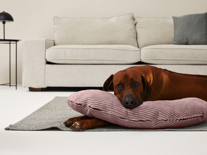 SCHMUSEHÖRNCHEN Cord 