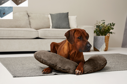 SCHMUSEHÖRNCHEN Cord 