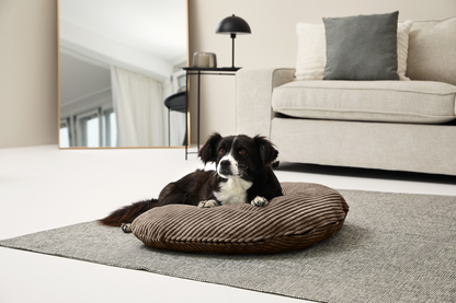 SCHMUSEHÖRNCHEN Cord 