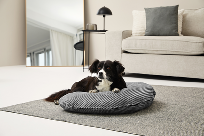 SCHMUSEHÖRNCHEN Cord 