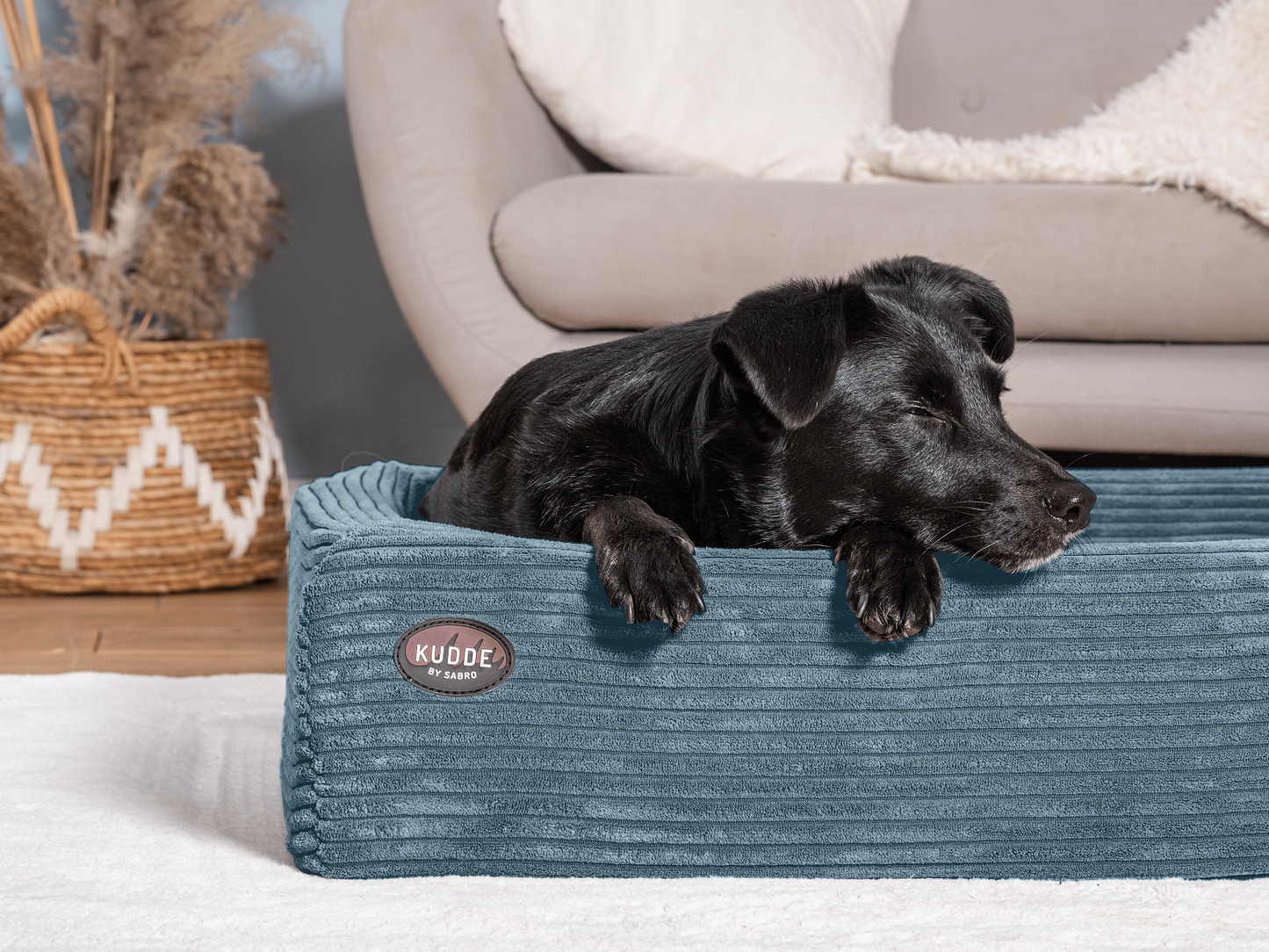 Koiranpeti KUDDE Cord 