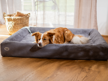 Koiranpeti KUDDE Cord 