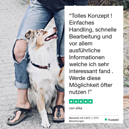 Giardiatesti koiralle 
