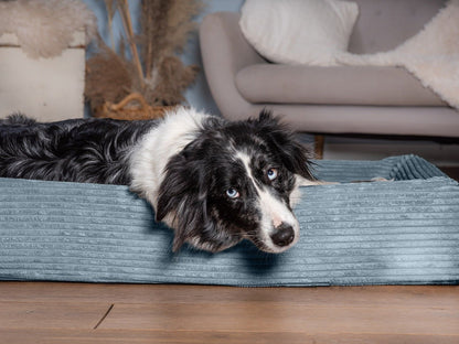 Koiranpeti KUDDE Cord 